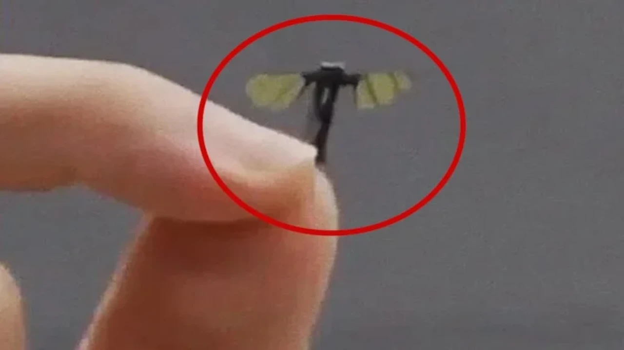 Çin, sinek büyüklüğündeki yeni nano drone ile savunma sanayisinde devrim yaratıyor