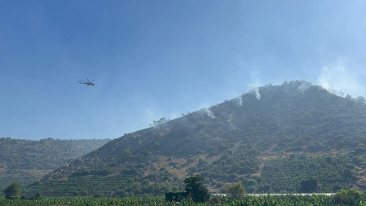 Gazipaşa'da Orman Yangını 3 Saatte Kontrol Altına Alındı, Olası Felaket Önlenmiş Oldu