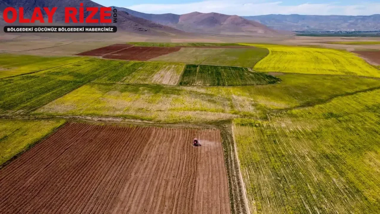 TOKİ, 19-20 Haziran 2024'te 310 arsa satışına çıkıyor! Açık artırma detayları burada!