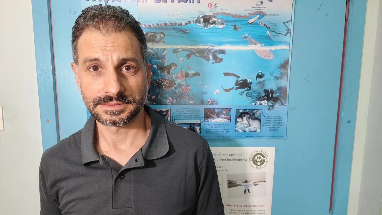 Berlam Balığı Tehlikede: İklim Değişikliği Zehirli Türleri Getiriyor