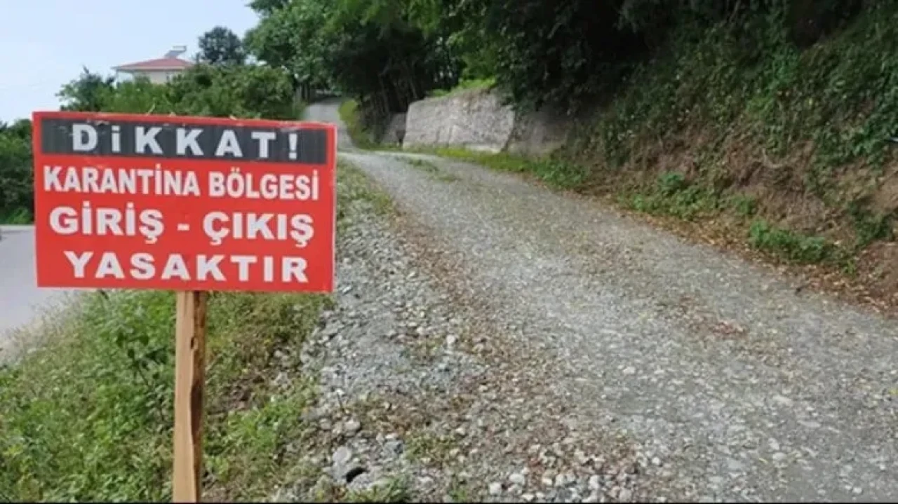 Ardahan'da Şap Hastalığına Karşı Aşılama ve Karantina Çalışmaları Sürüyor