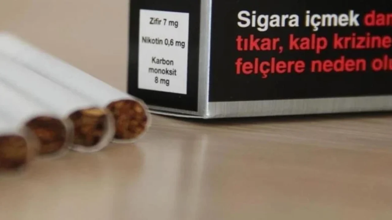 Dresden'deki son tütün fabrikası kapanıyor, 274 çalışan işsiz kalacak