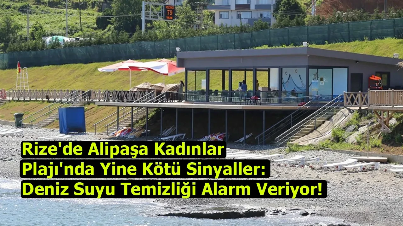 Rize'de Alipaşa Kadınlar Plajı'nda Yine Kötü Sinyaller: Deniz Suyu Temizliği Alarm Veriyor!