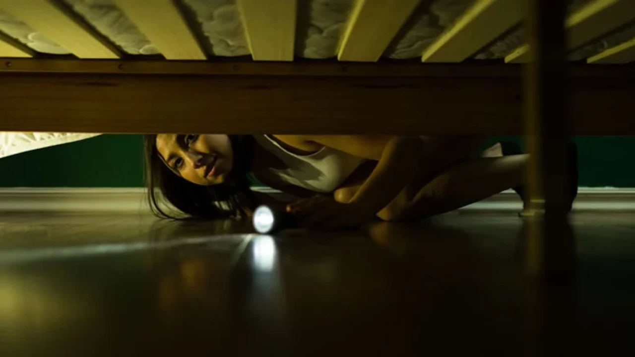 Tokyo'daki tatildeki kabus: Otel odasında saklanan adamla karşılaşan kadın adalet peşinde