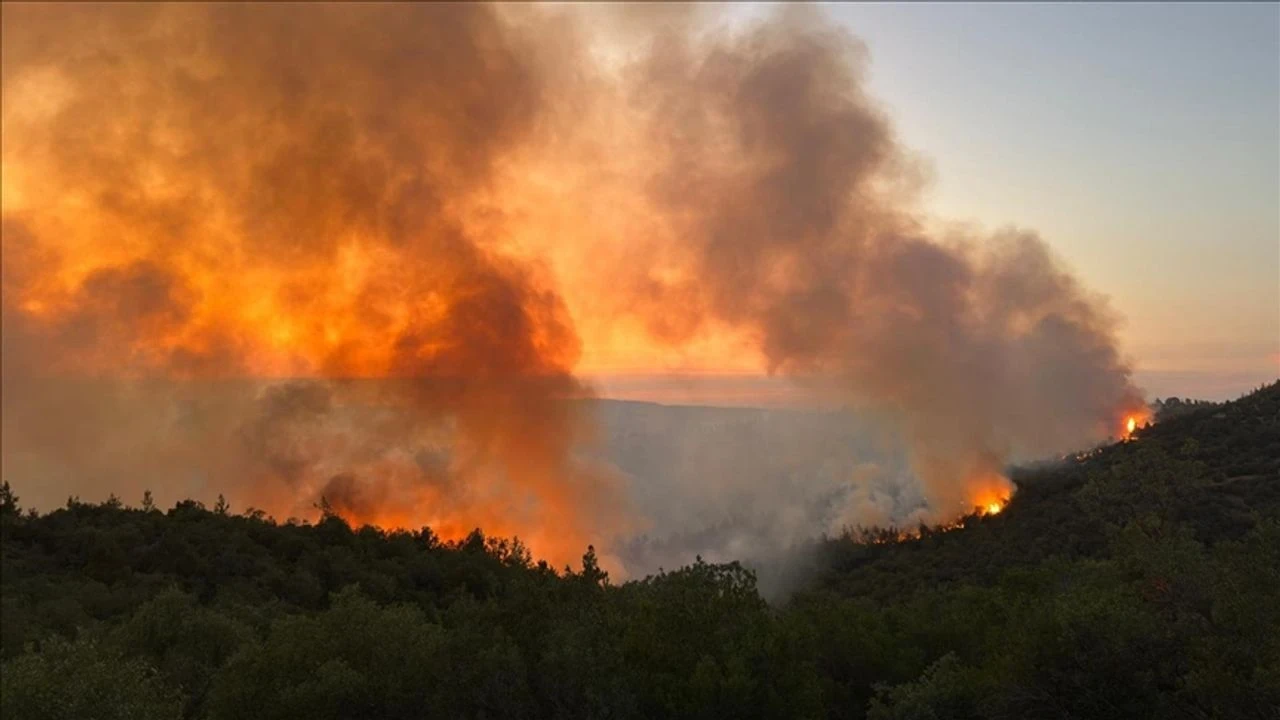 Sıcaklıklardaki Artış Orman Yangınları için Tehlike Oluşturuyor, Dikkatli Olun!