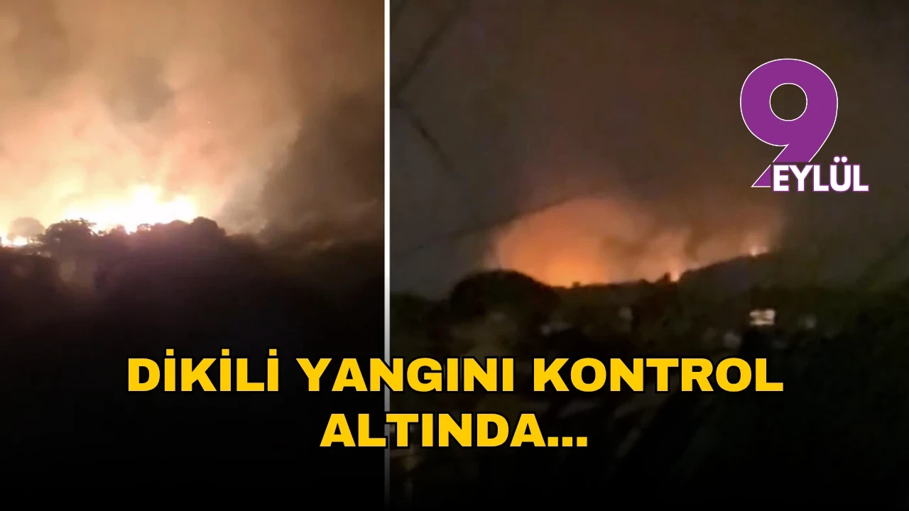 İzmir'de çöplükte çıkan yangın rüzgarla yayıldı, ekipler havadan ve karadan müdahale etti