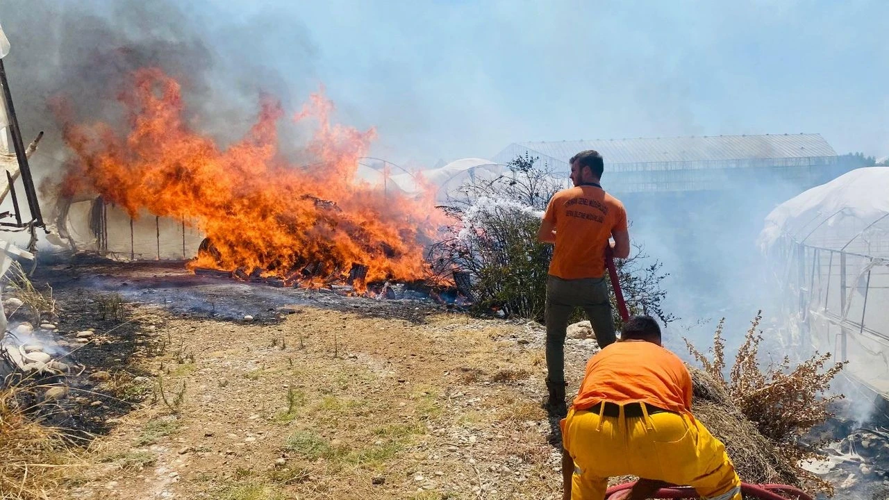 Antalya'da rüzgarın etkisiyle büyüyen yangında iki sera hasar gördü, ekipler hızlıca müdahale etti.