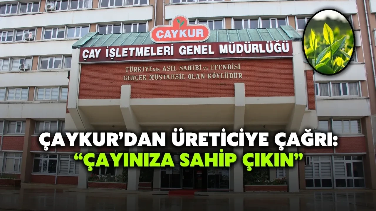 ÇAYKUR'dan üreticilere çağrı: Düşük fiyat ve fırsatçılara karşı dikkatli olun!