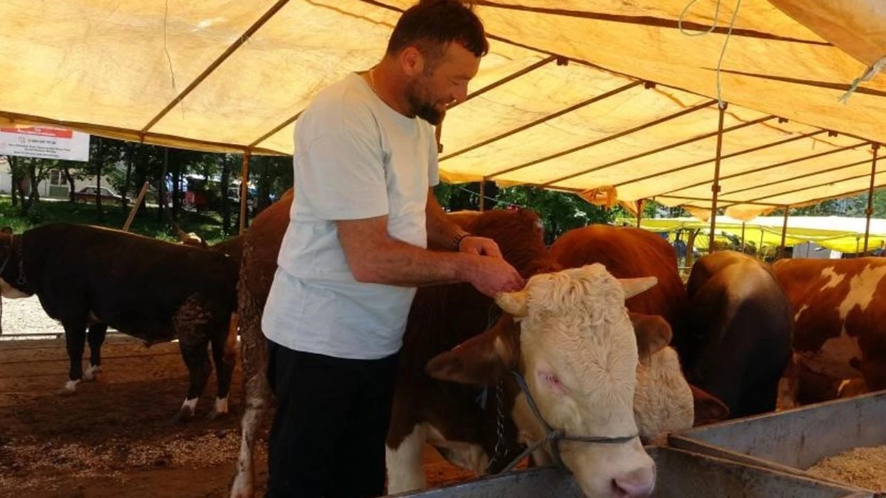 Kurban Bayramı'nda Şap Hastalığı Artışı, Hayvan Pazarları Kapatıldı