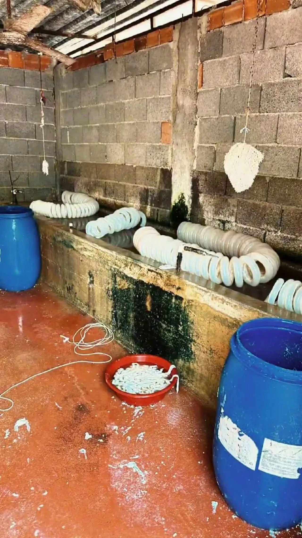 Adana'da ruhsatsız işletmeye baskın: 5 ton sağlıksız gıda ele geçirildi, denetimler artırıldı.