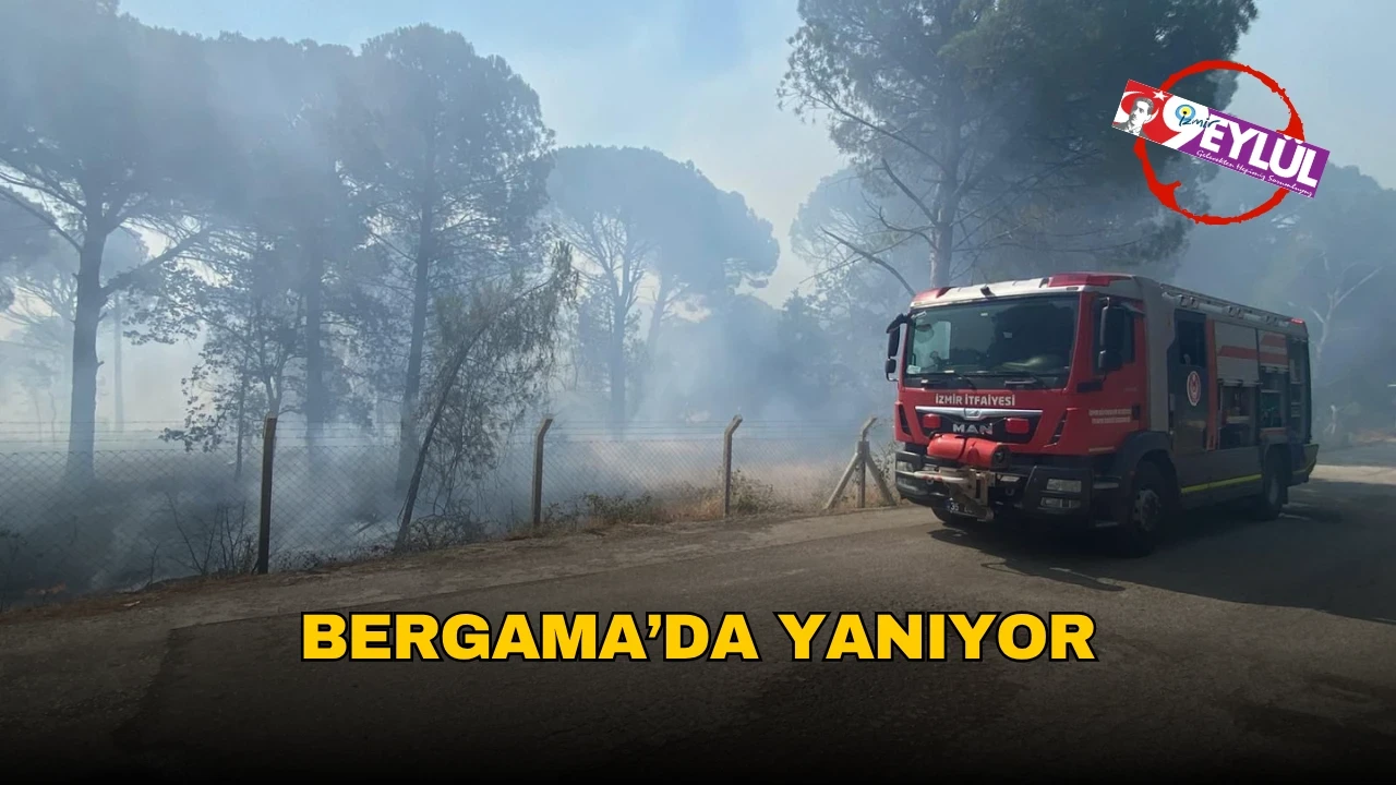Bergama'da Anız Yakma Yangını Ormanlık Alana Sıçradı, İtfaiye ve Muhtarlar Seferber Oldu