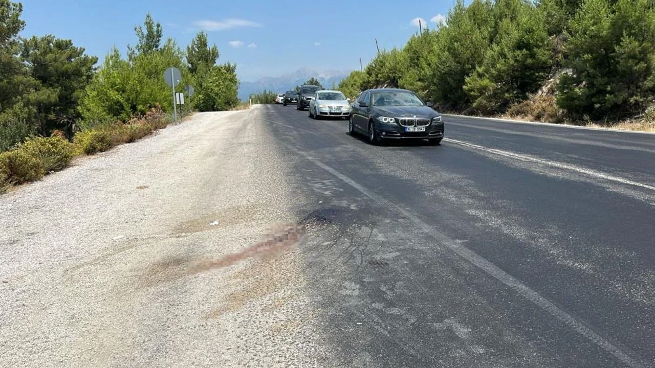 Seydikemer'de Otobüs Çarpmasıyla Yaşlı Adam Hayatını Kaybetti