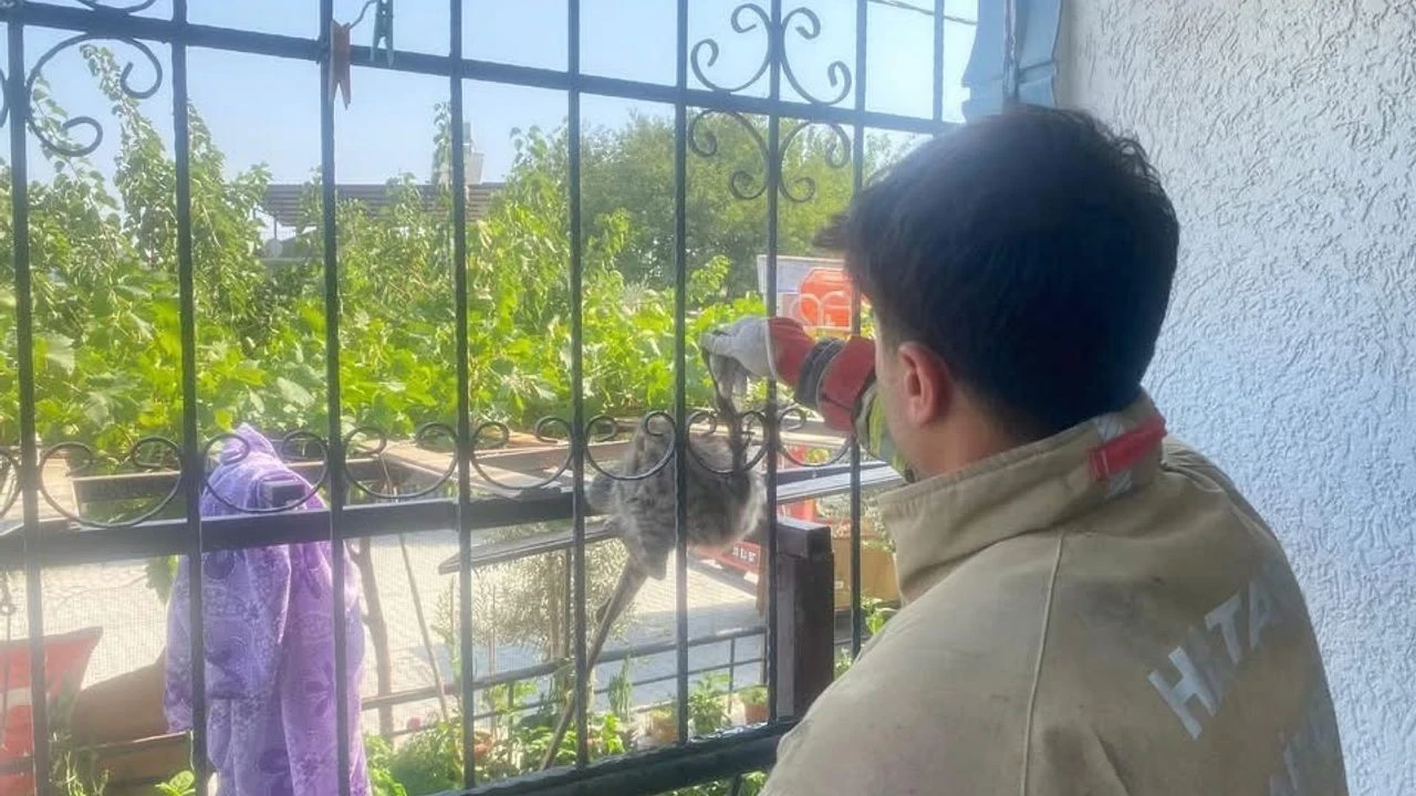 Mahalle Duyarlılığıyla Sıkışan Kedi Kurtarıldı, Sosyal Medyada Takdir Topladı