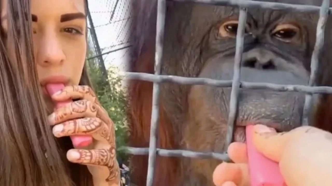 Dövüşçünün orangutana elektronik sigara vererek sosyal medyada tepki çekmesi büyük skandal oldu.
