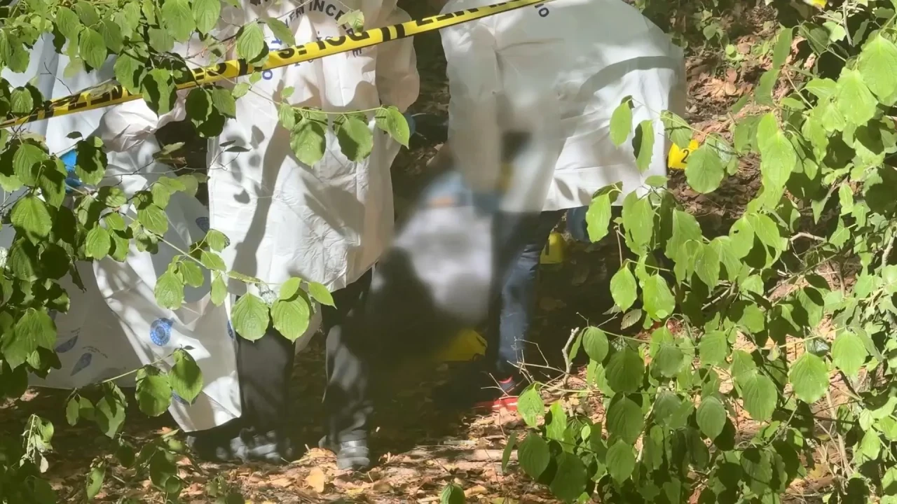 Sarıyer'de başına poşet geçirilmiş genç bir erkek cesedi bulundu, polis soruşturma başlattı