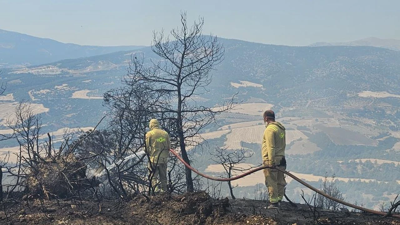 Denizli'de yangın ormanı tehdit etti, ekipler ve vatandaşlar müdahale etti