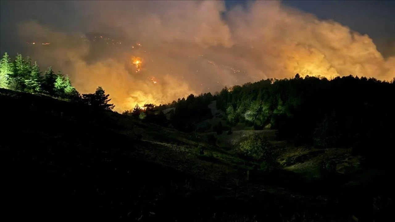 Konya'da Orman Yangınına Hızla Müdahale: Ekipler Havadan ve Karadan Seferber Oldu