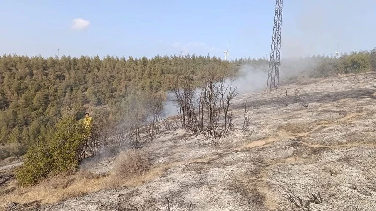Hatay'daki orman yangını hızlı müdahale ile kontrol altına alındı, soruşturma başlatıldı.