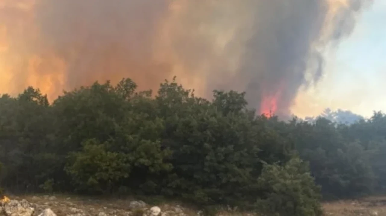 Eskişehir'de ormanlık alanda yangın, müdahale sürüyor