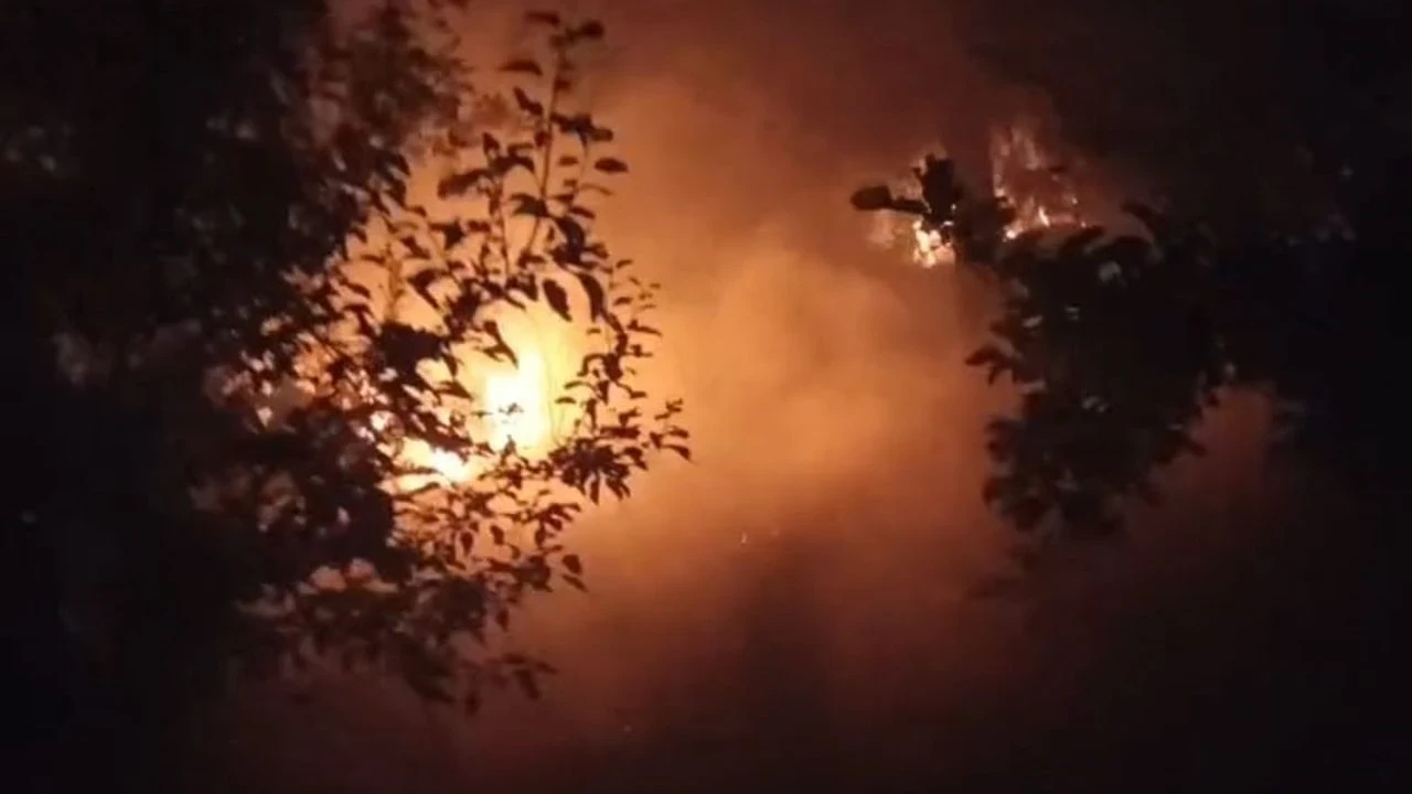 Rüzgarın Tehdit Ettiği Yangına Hızlı Müdahale ile Felaket Önlenildi