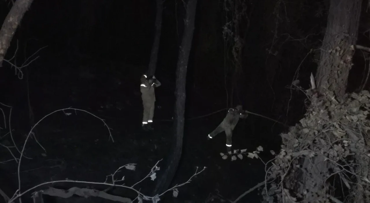 Karaburun'daki orman yangını hızlı müdahale ile kontrol altına alındı, 3 hektar zarar gördü.