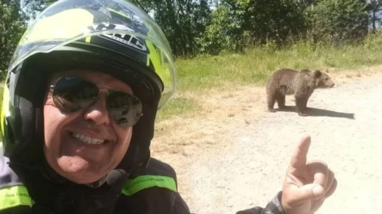 Ayıya yaklaşan motosikletli adam uçurumda can verdi, vahşi yaşam uzmanları uyardı