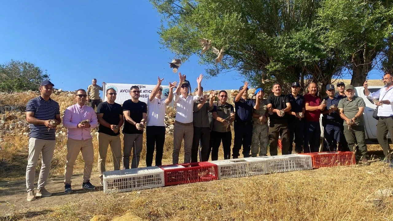 Kahramanmaraş'ta Yaban Hayatı İçin Yüzlerce Keklik Doğaya Salındı
