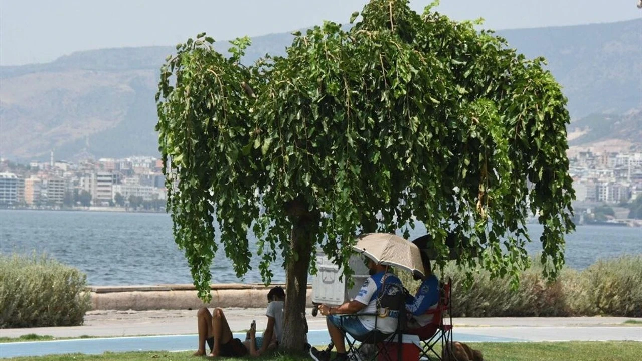 Türkiye, Afrika sıcaklarıyla rekor sıcaklıklara hazırlanıyor! Yangın riski artıyor.