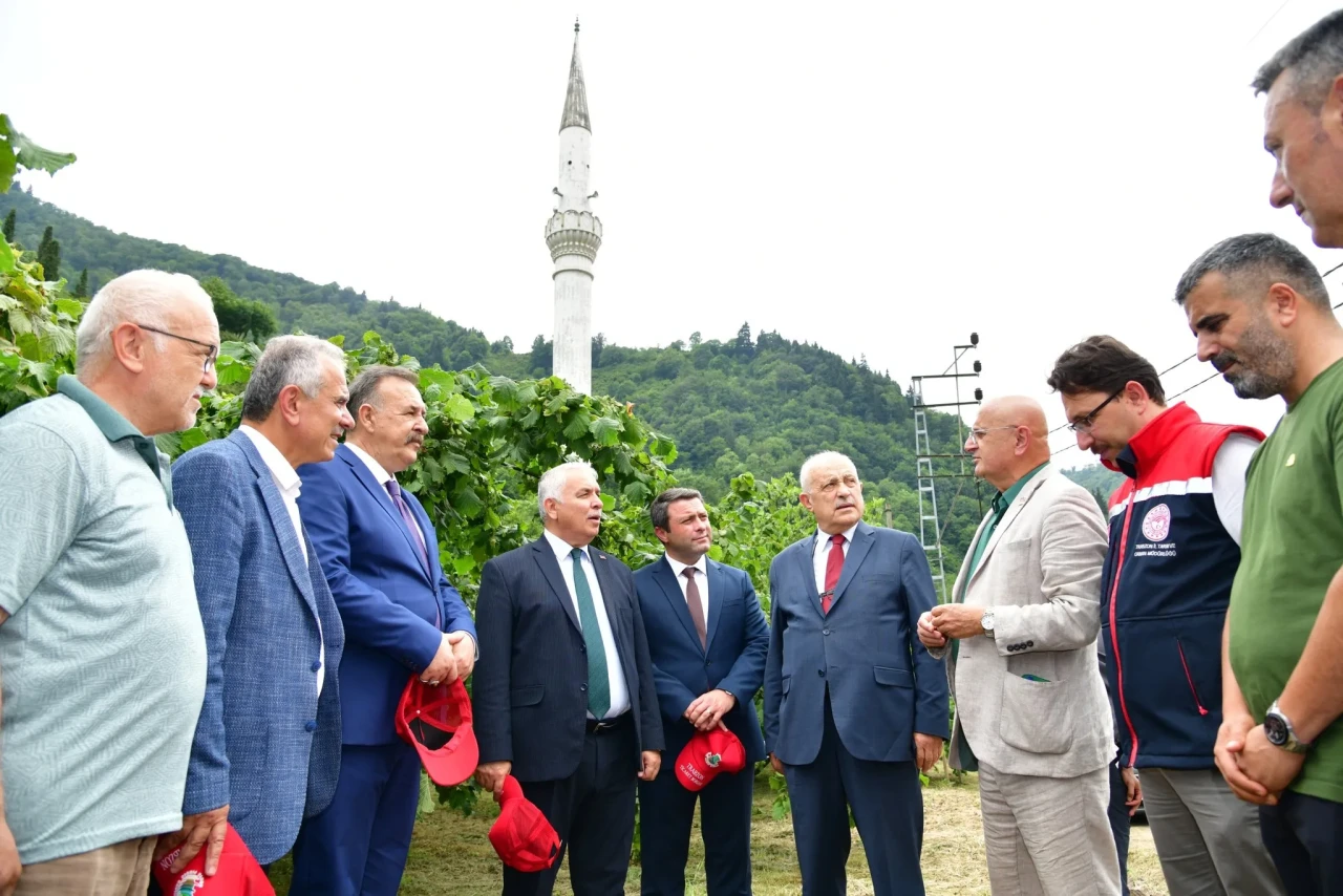Trabzon'da Modern Fındık Bahçesiyle Verim Artışı Sağlandı