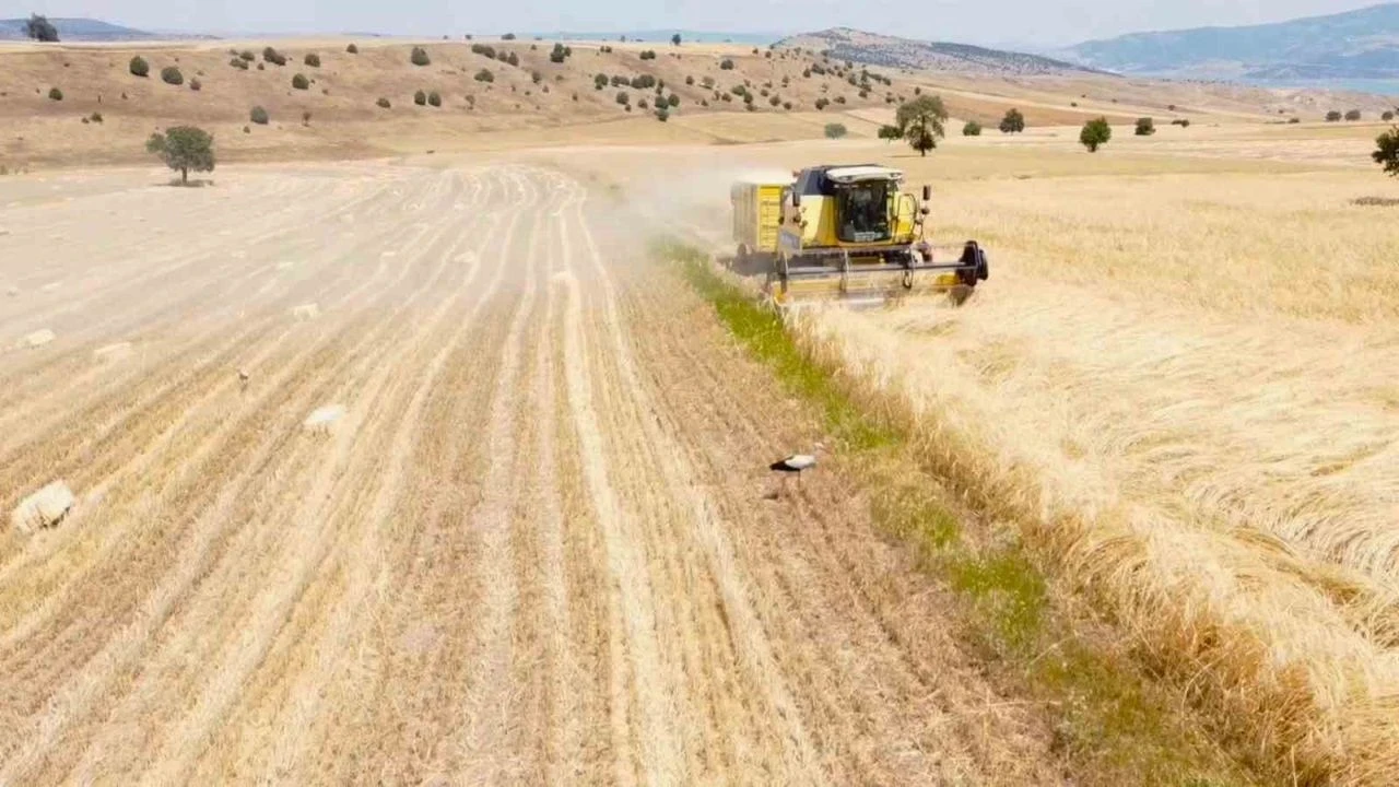 Kınık'ta Çiftçiler Tefecilere Yöneliyor, Ekonomik Kriz Çığır Açıyor