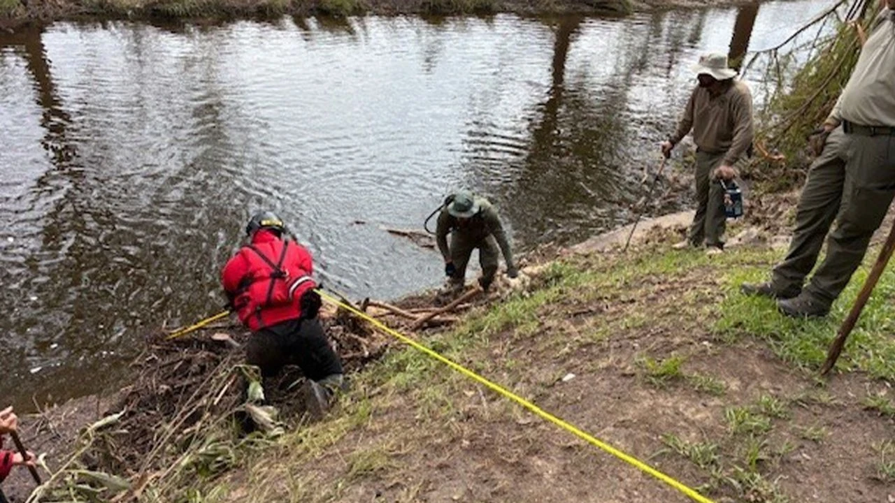 Texas'taki sel felaketi bilançosu ağırlaşıyor, can kayıpları artıyor
