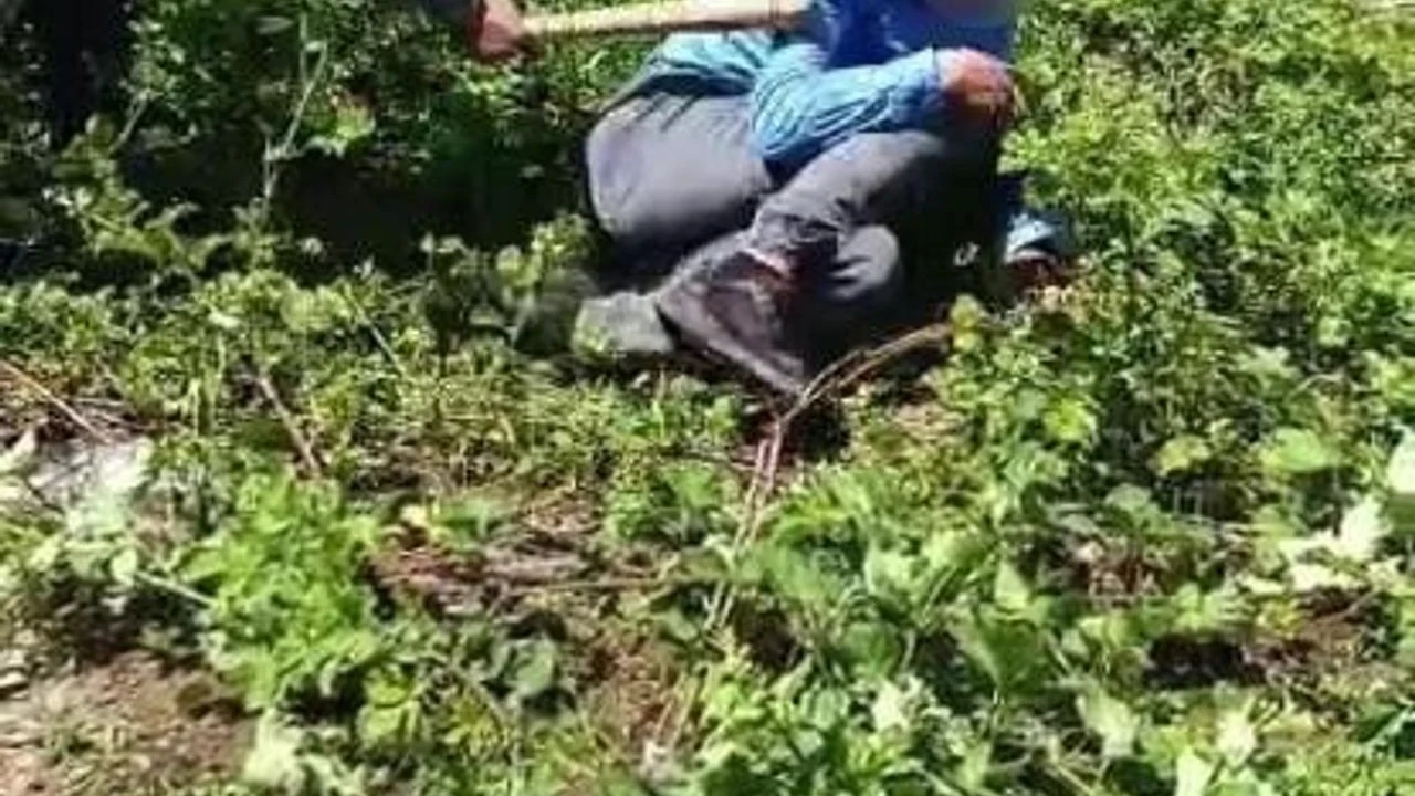 Adana'da gençlere ve yaşlı adama sopalı saldırı, 3 kişi tutuklandı!