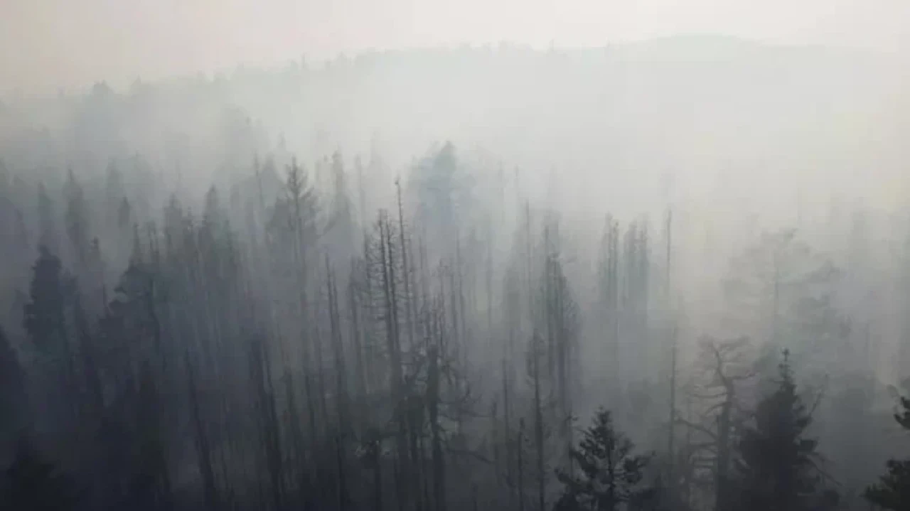 Türkiye'de orman yangınlarıyla mücadele devam ediyor, Çankırı yangını kontrol altına alındı