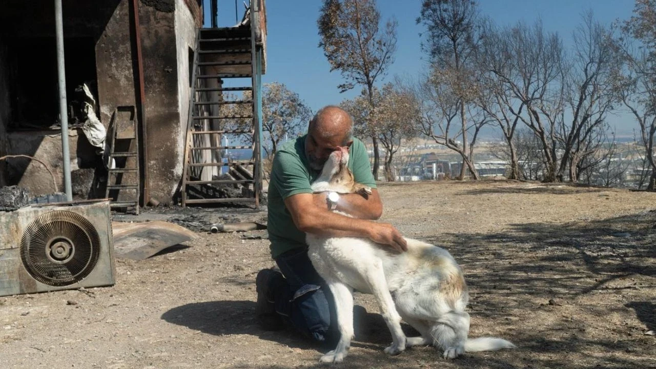 Yangından kurtarılan Kaptan, İzmir Büyükşehir Belediyesi sayesinde sıcak bir yuvaya kavuştu.