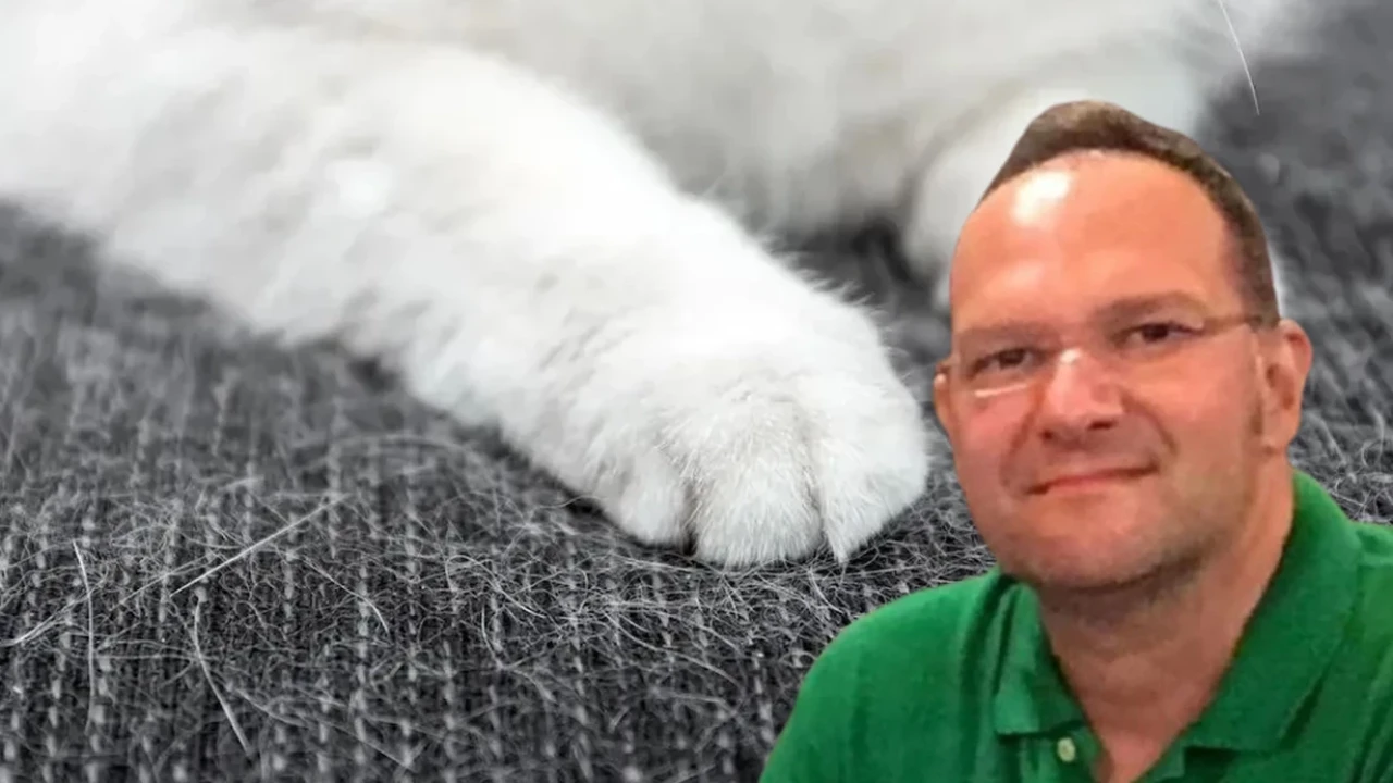 Kedi tüyü iddiaları panik yarattı, doktorlar gerçek sebebi açıkladı