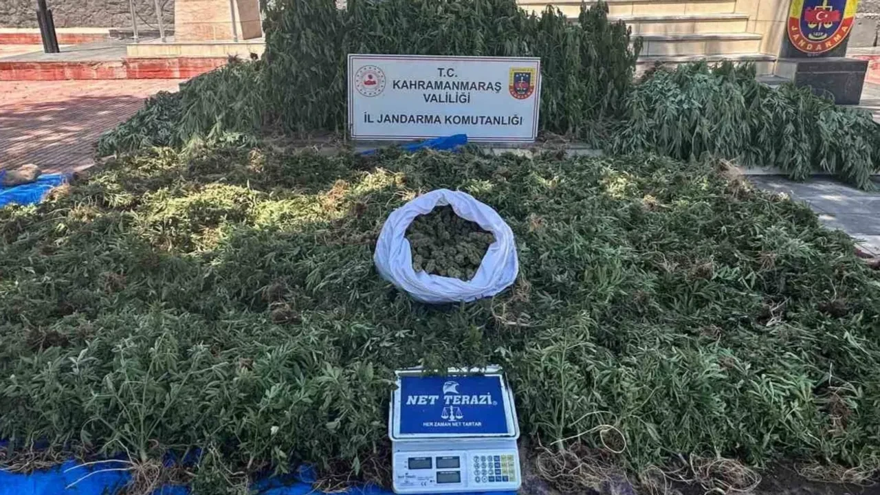 Jandarma Operasyonunda Üç Uyuşturucu Şüphelisi Tutuklandı, Kilolarca Skunk Ele Geçirildi