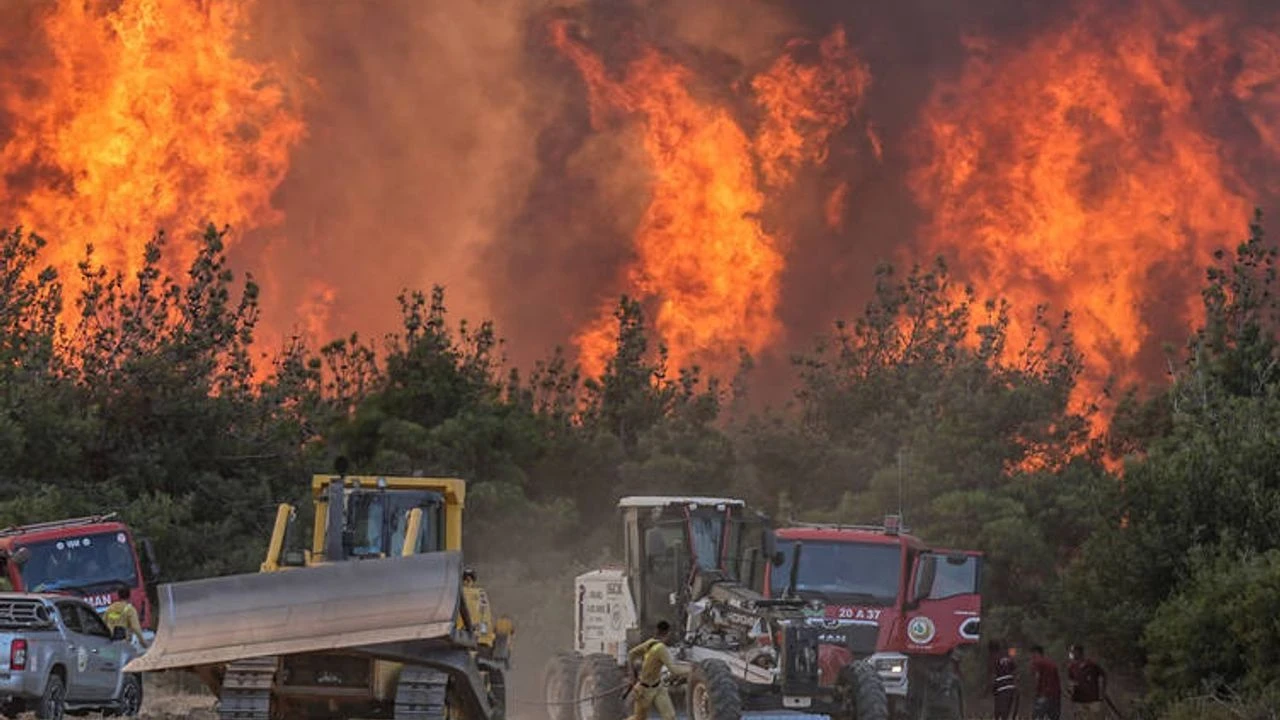 Şarköy ve Gelibolu'da Orman Yangınları: Müdahale Sürüyor, Zarar Görenler Var