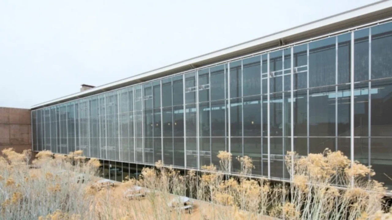 New Mexico Üniversitesi'nde silahlı saldırı: 1 ölü, 1 yaralı