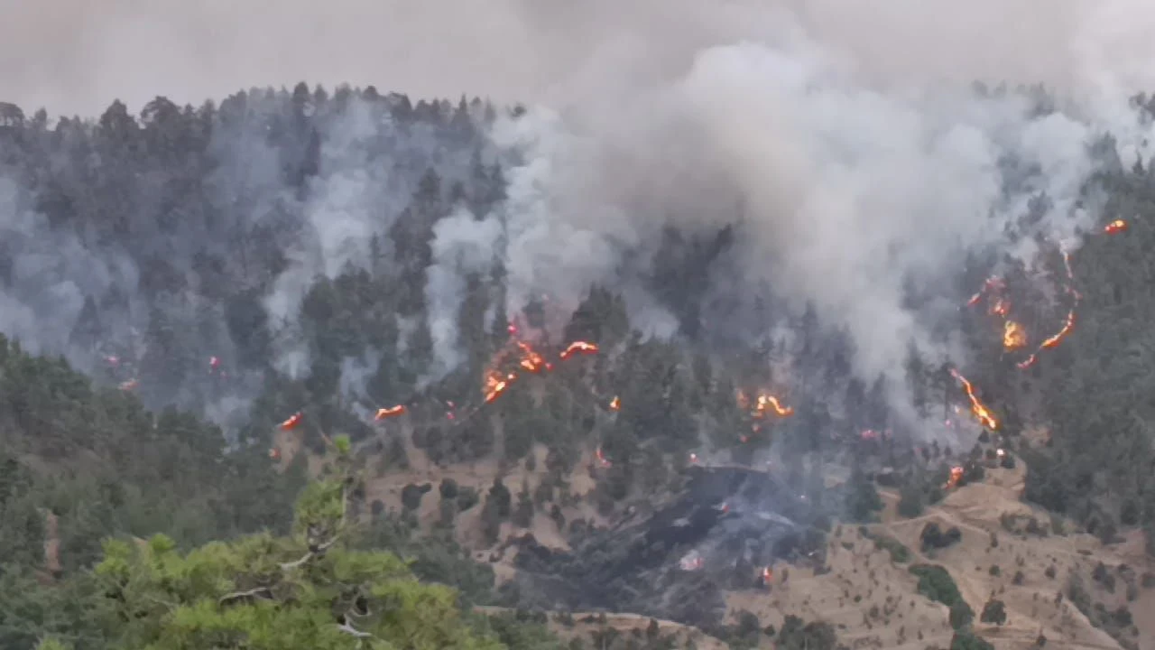 Kahramanmaraş'ta Orman Yangınına Yoğun Müdahale, Üçüncü Gününde Seferberlik Sürüyor