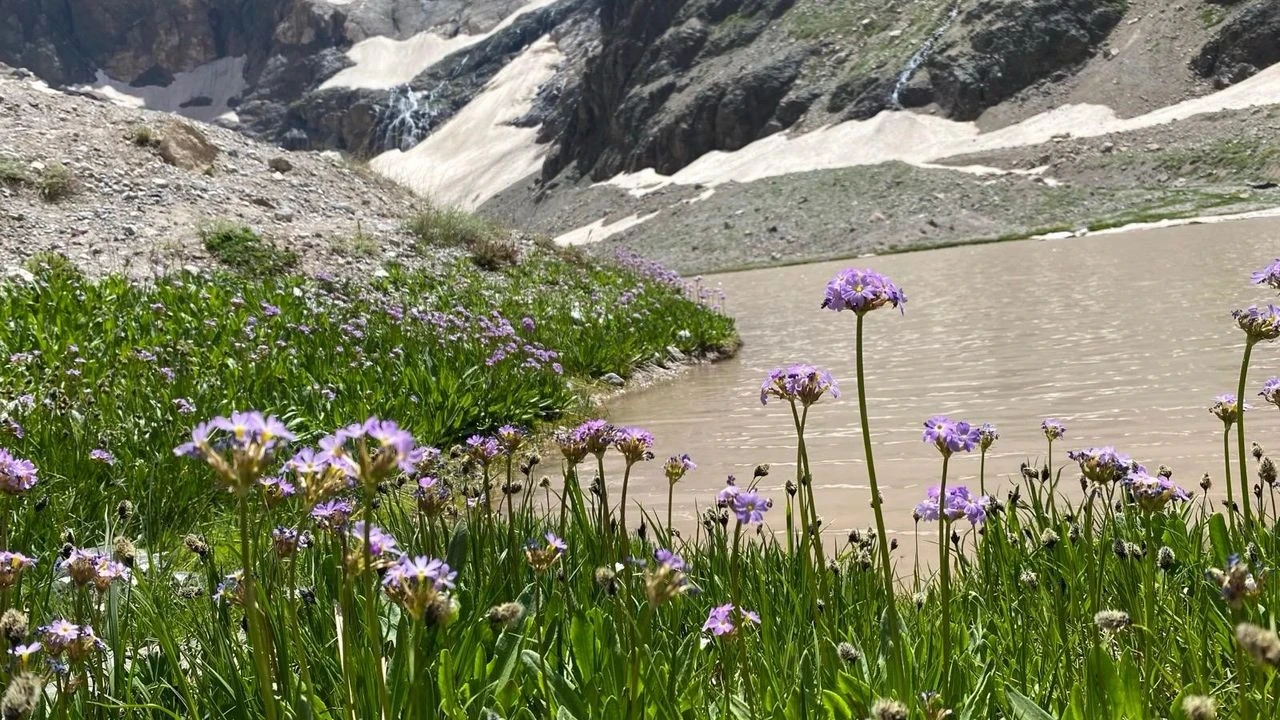 Cilo Dağı'ndaki buzullar yüzde 40 eridi, doğa uyarıyor ve korunması gereken alanlar alarm veriyor!