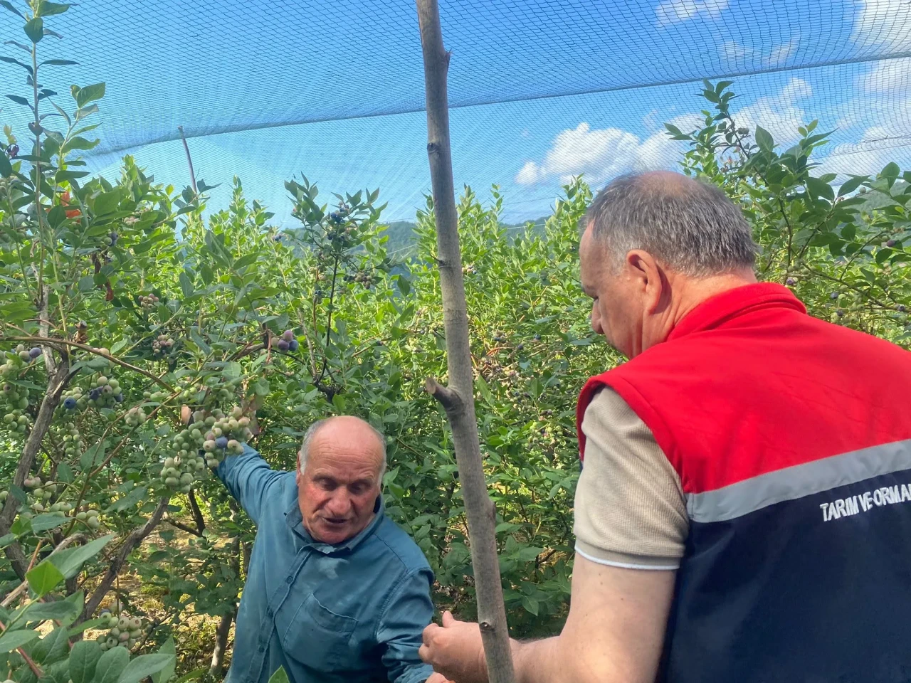 Köprübaşı'nda Tarım Heyeti Üreticileri Desteklemek İçin İncelemelerde Bulundu