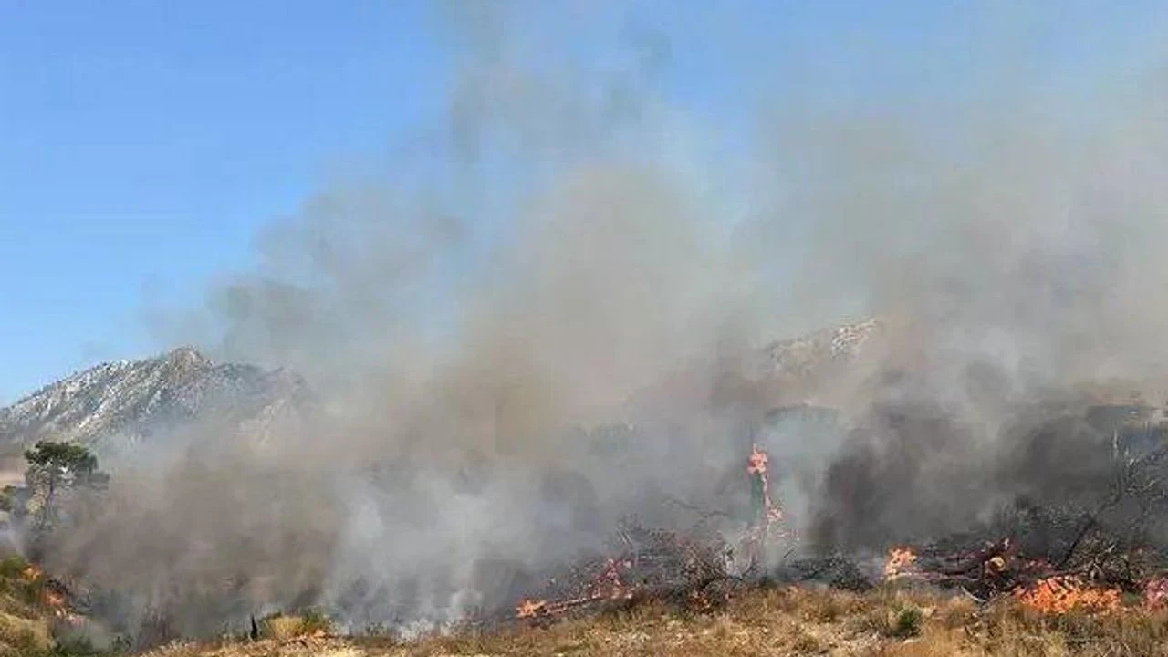 Antalya'da Orman Yangınları: Evler Tahliye Ediliyor, Mücadele Devam Ediyor