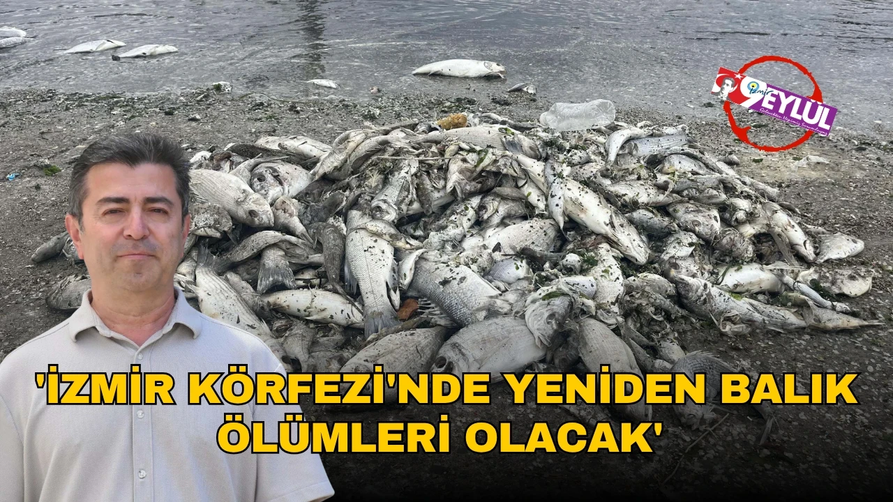 Kuşadası'nda caretta caretta yuvası güvenli alana alındı, doğaya duyarlılık vurgulandı