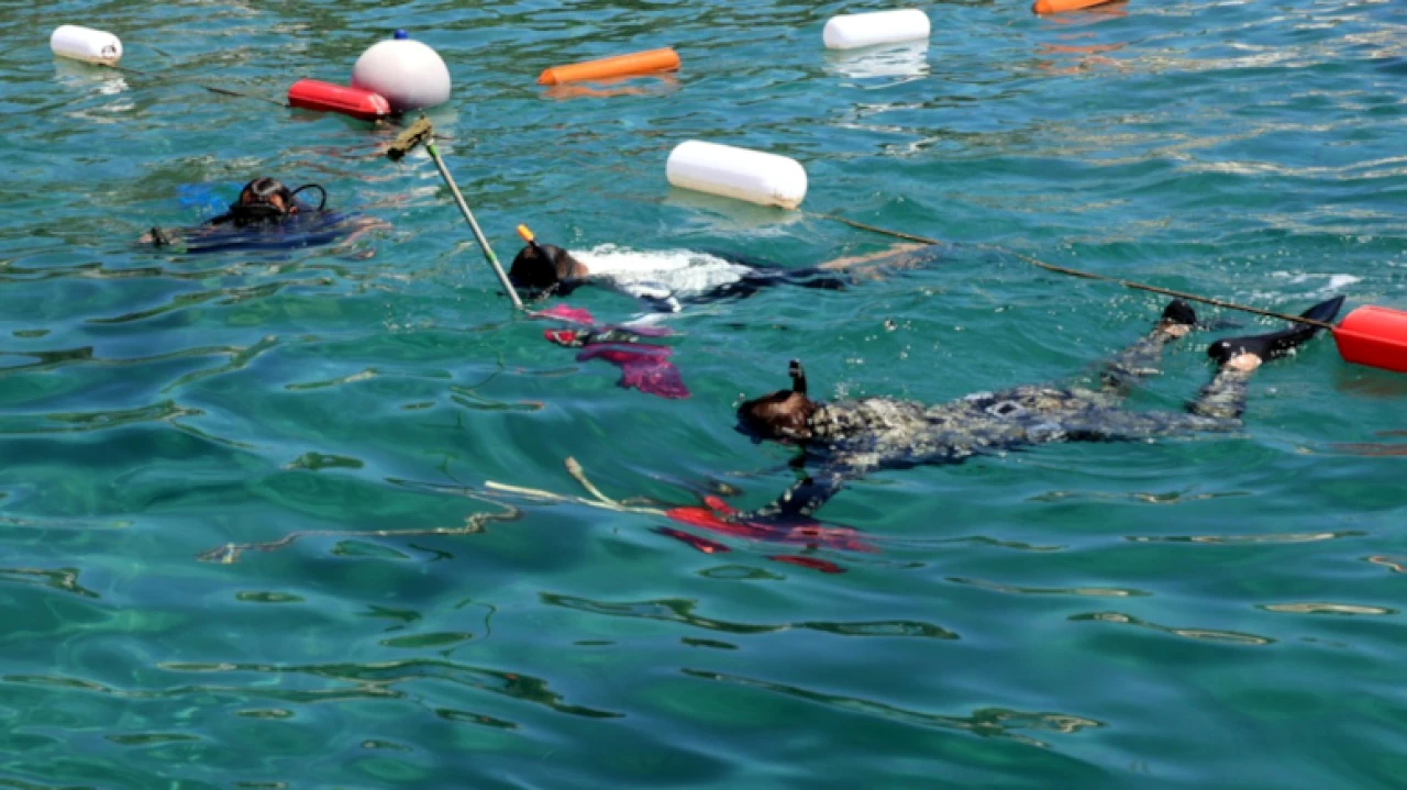 Bodrum'da Deniz Dibi Temizliği: 98 kg Atık Çıkarıldı
