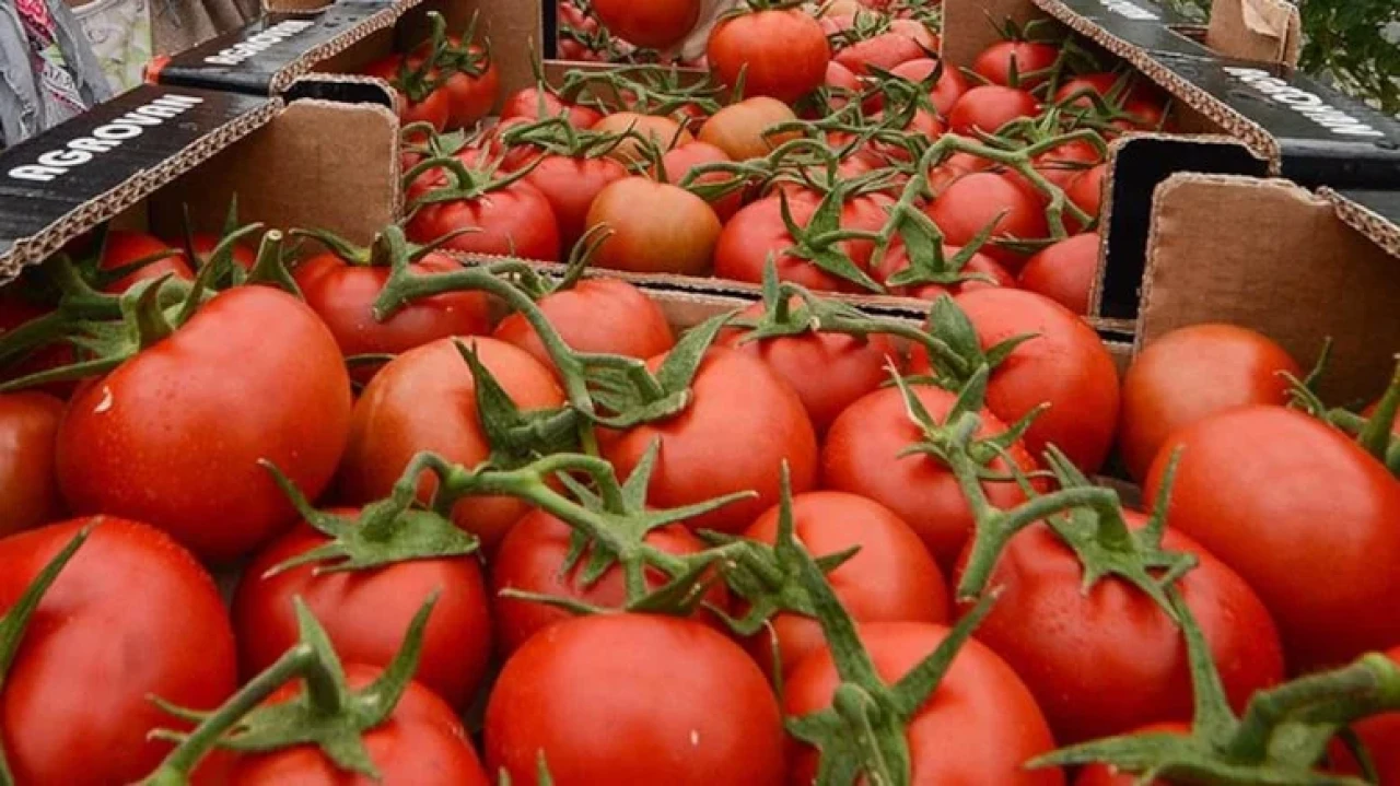 Domates alırken dikkat: Sağlık riskleri taşıyan işaretler ve doğru seçim ipuçları!