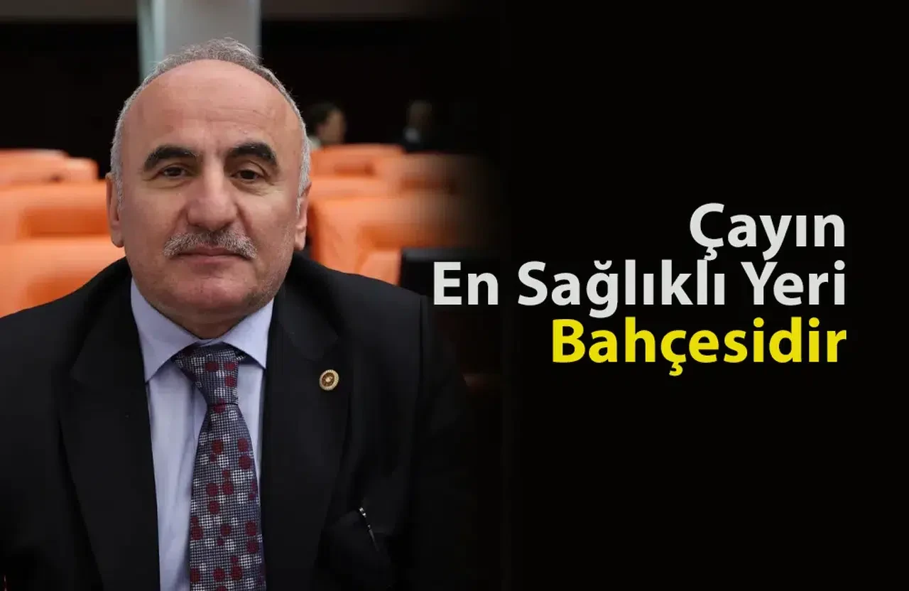 Mertoğlu'ndan çay üreticilerine uyarı: Acele hasattan kaçının!