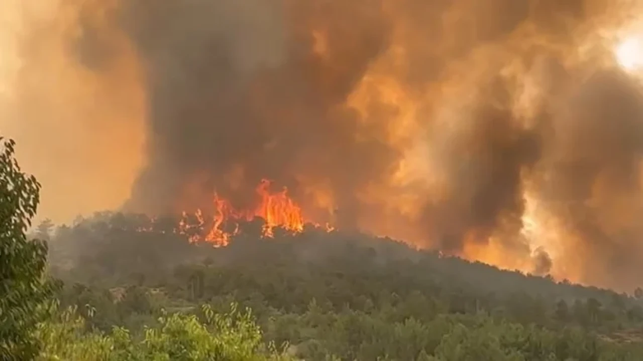 Orman yangınları sonrası 132 bina ağır hasar aldı, tespit çalışmaları sürüyor
