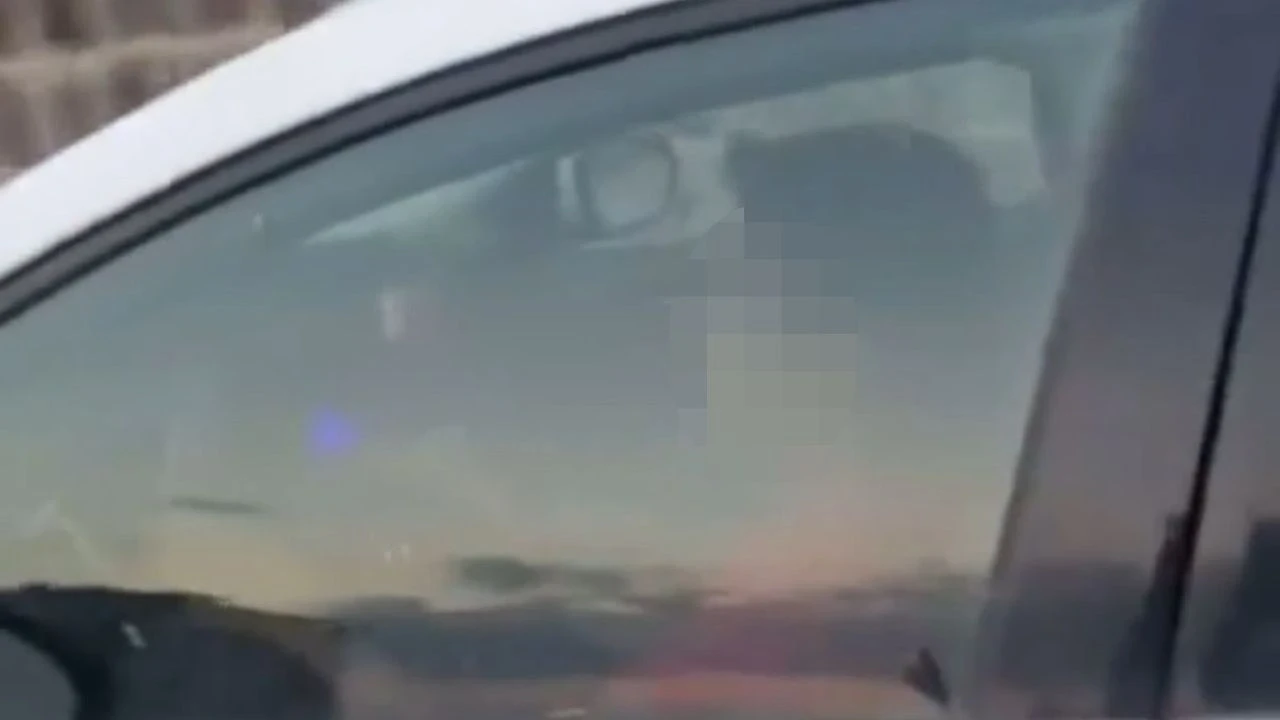 Baba, Çocuğunu Direksiyona Oturtarak Trafiği Tehlikeye Attı, Pahalıya Patladı