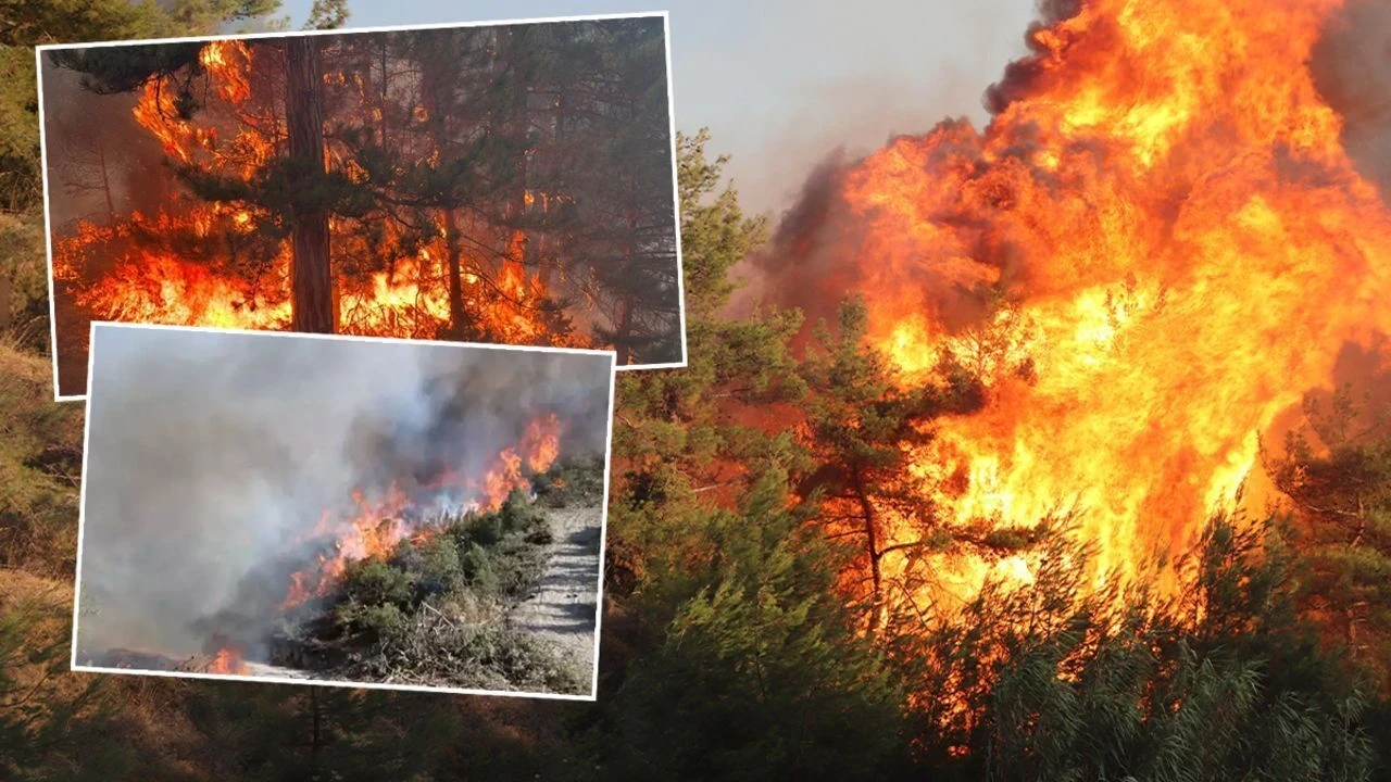 İzmir orman yangınlarıyla mücadele ediyor: Çeşme kontrol altına alındı, Buca ve Ödemiş'te alevler sürüyor.
