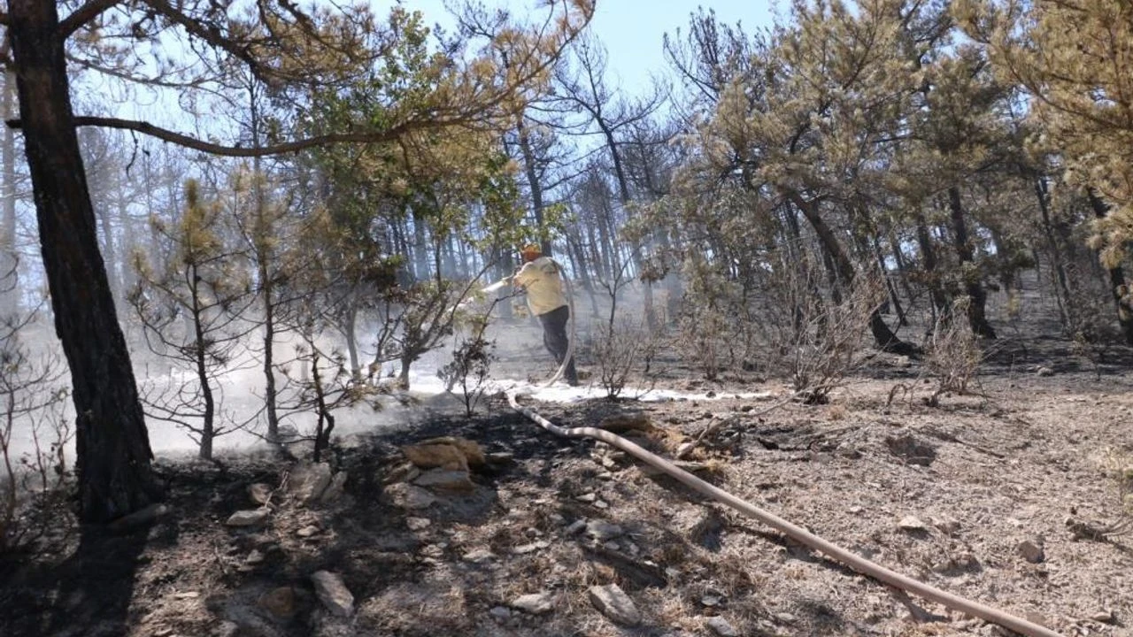 Eskişehir'deki orman yangını kontrol altına alındı, soğutma çalışmaları aralıksız sürüyor